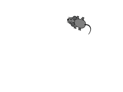 マウスが近づいてきたら追う のサムネイル